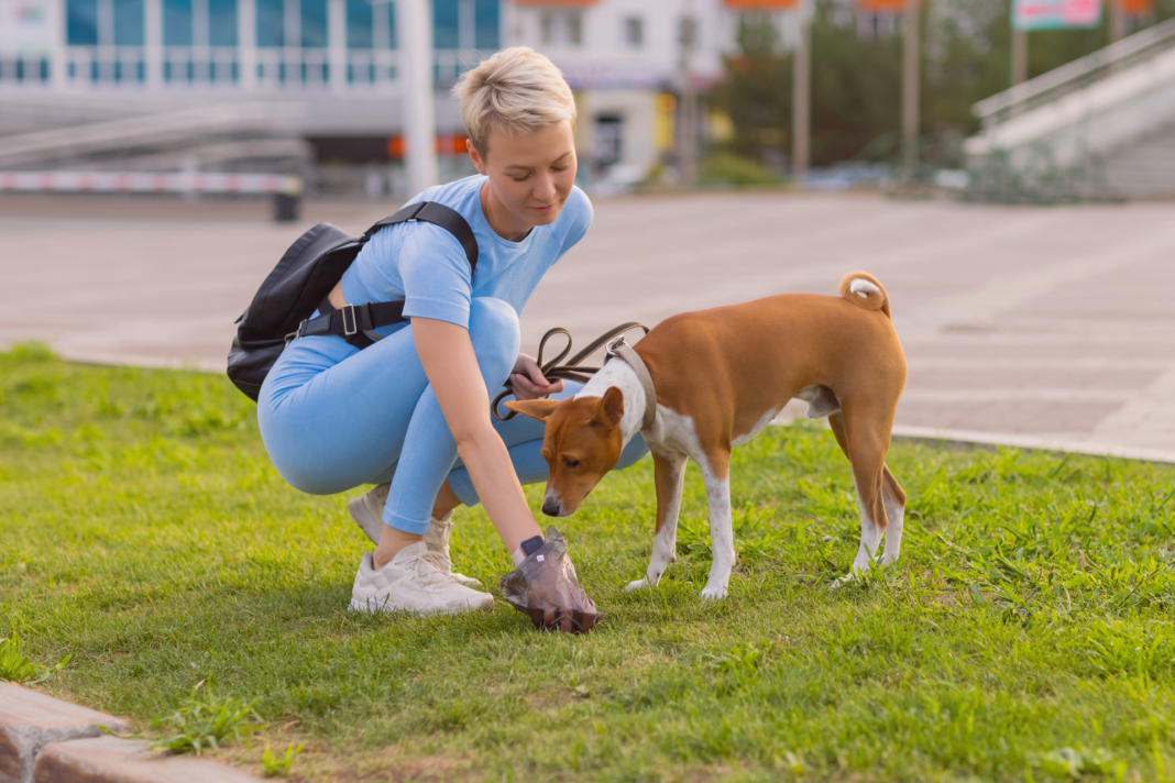 うんち,マナーポーチ,お散歩,犬まとめ